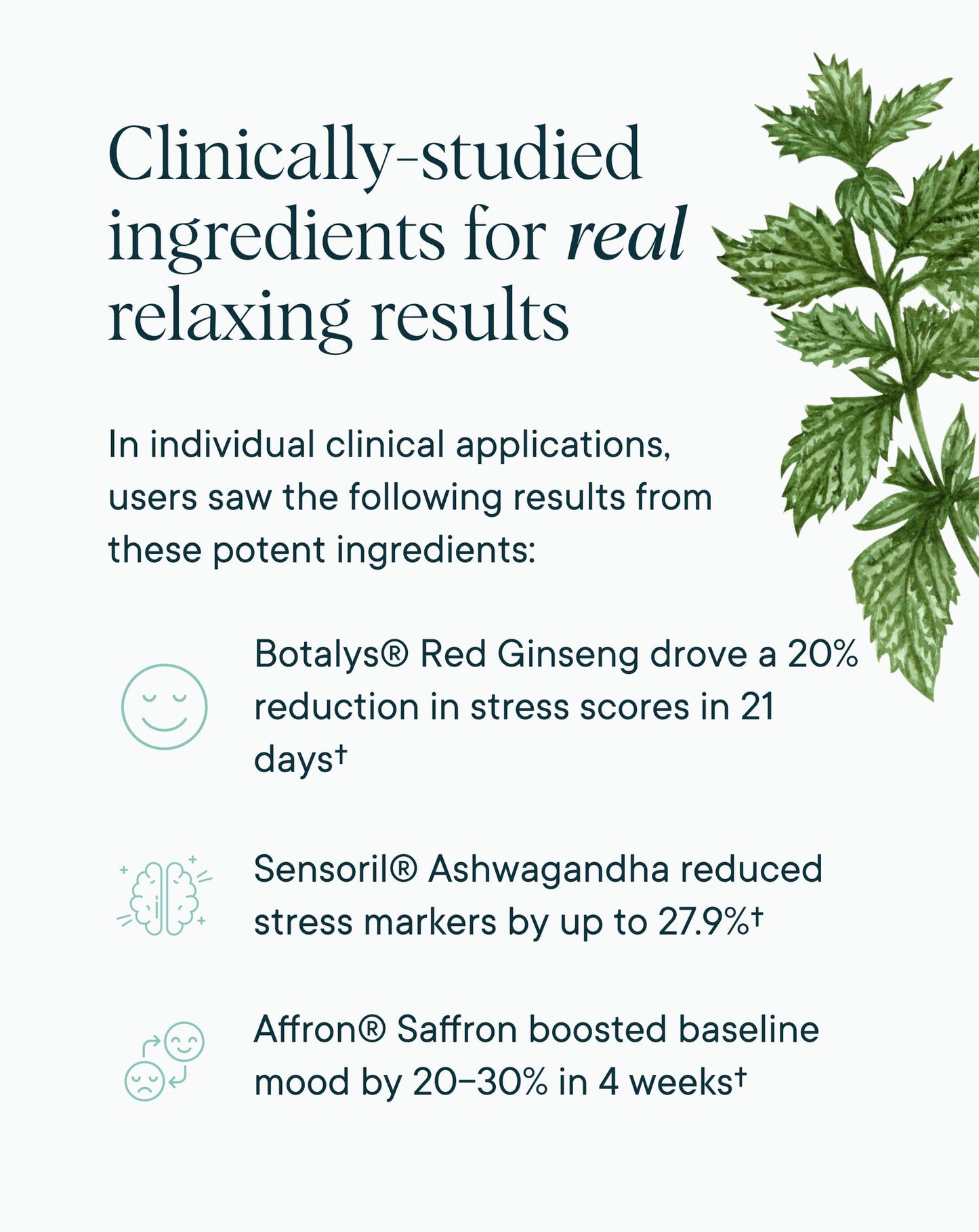 BEXAST™ Stress Support Supplement