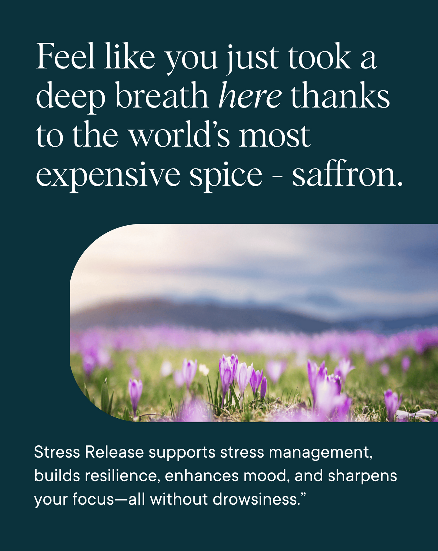 BEXAST™ Stress Support Supplement