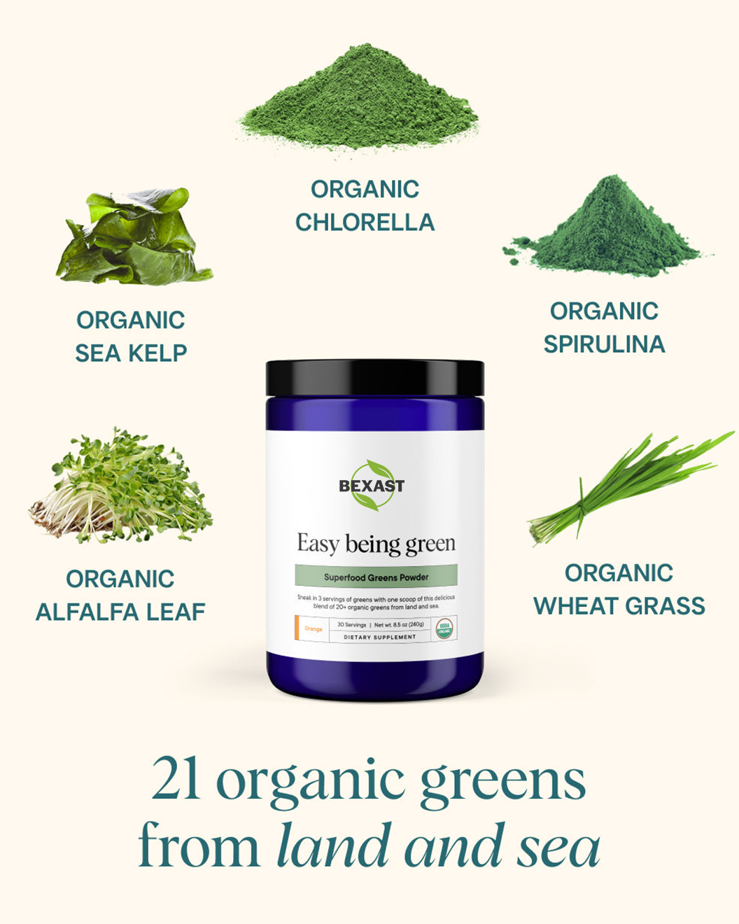 Superfood Greens Powder